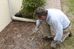 Termite Pest Control is Chemical Free Termite Pest Control for Sarasota to Clearwater, Florida