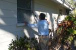 Pest Control Prevention Treatment for Your Home to Prevent Pests and Rodents in Clearwater, FL